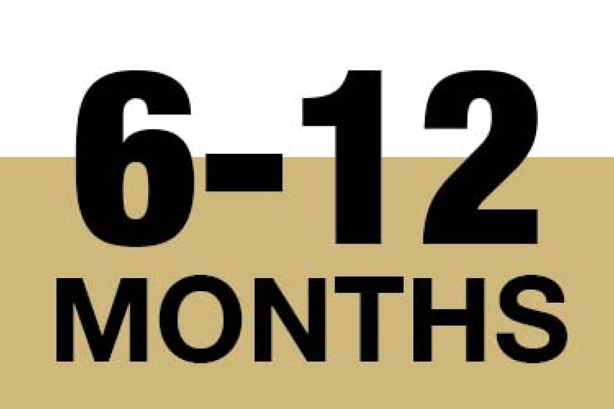 6-12 months bolded text over gold bar
