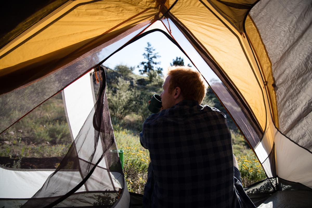 man looking out from inside a tent