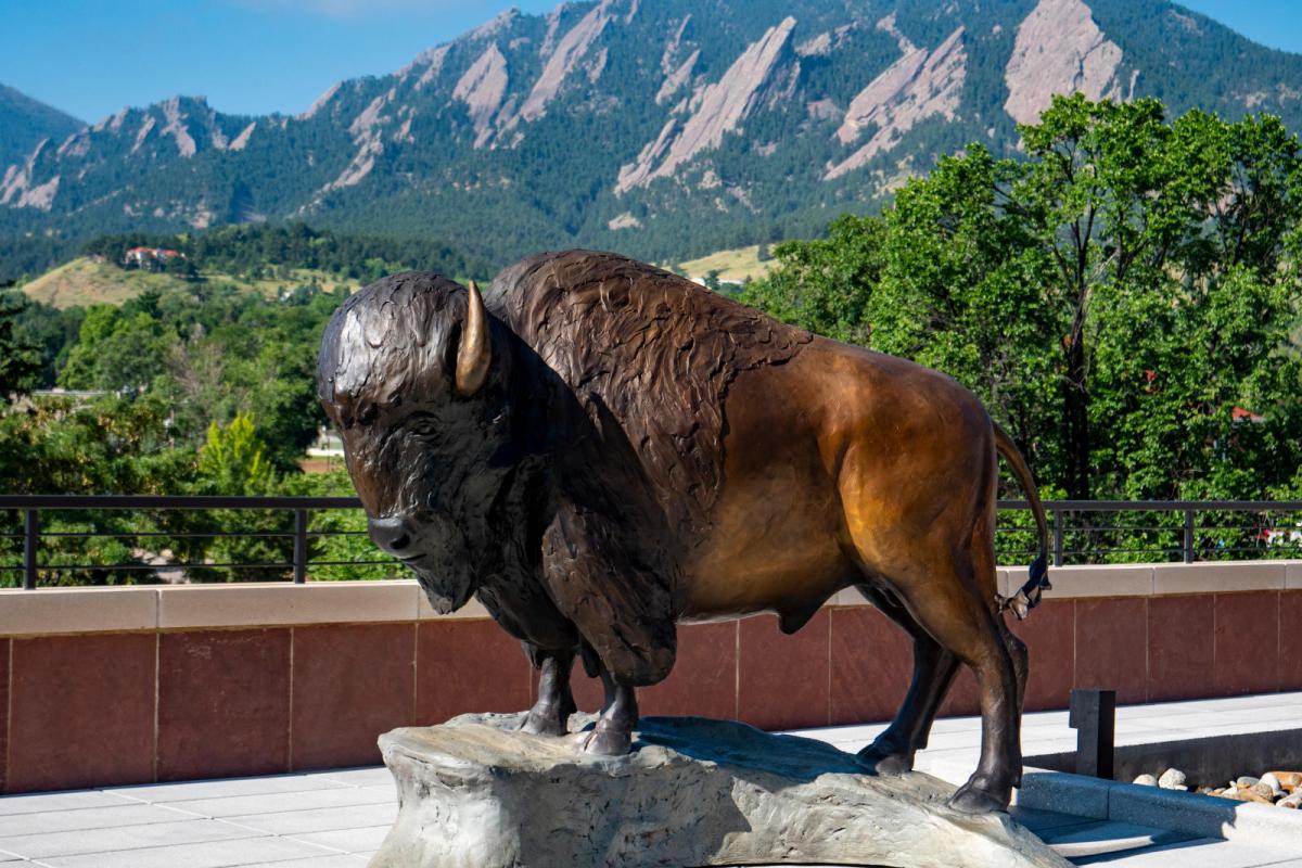 Statue of Ralphie the bison