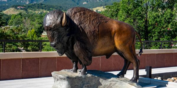Statue of Ralphie the bison