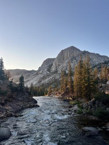 A clear blue sky gives way to sharp granite peaks overlooking a wide river that rushes through the Valley. This is a personal photo provided by trip leader Mia Perez, which highlights the beauty of the Yosemite and greater Sierra Nevada wilderness.
