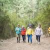 Group of diverse hikers walking up a trail.